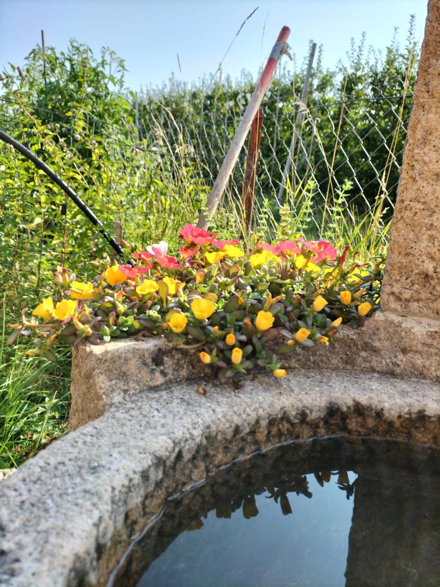 I Girasoli Sanzeno Exterior photo