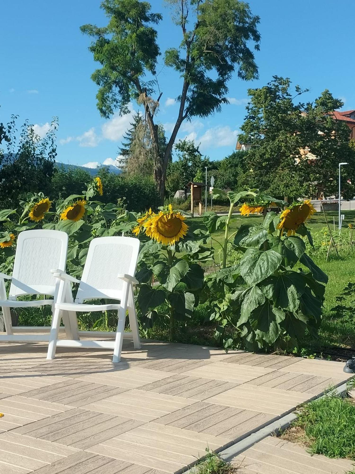 I Girasoli Sanzeno Exterior photo