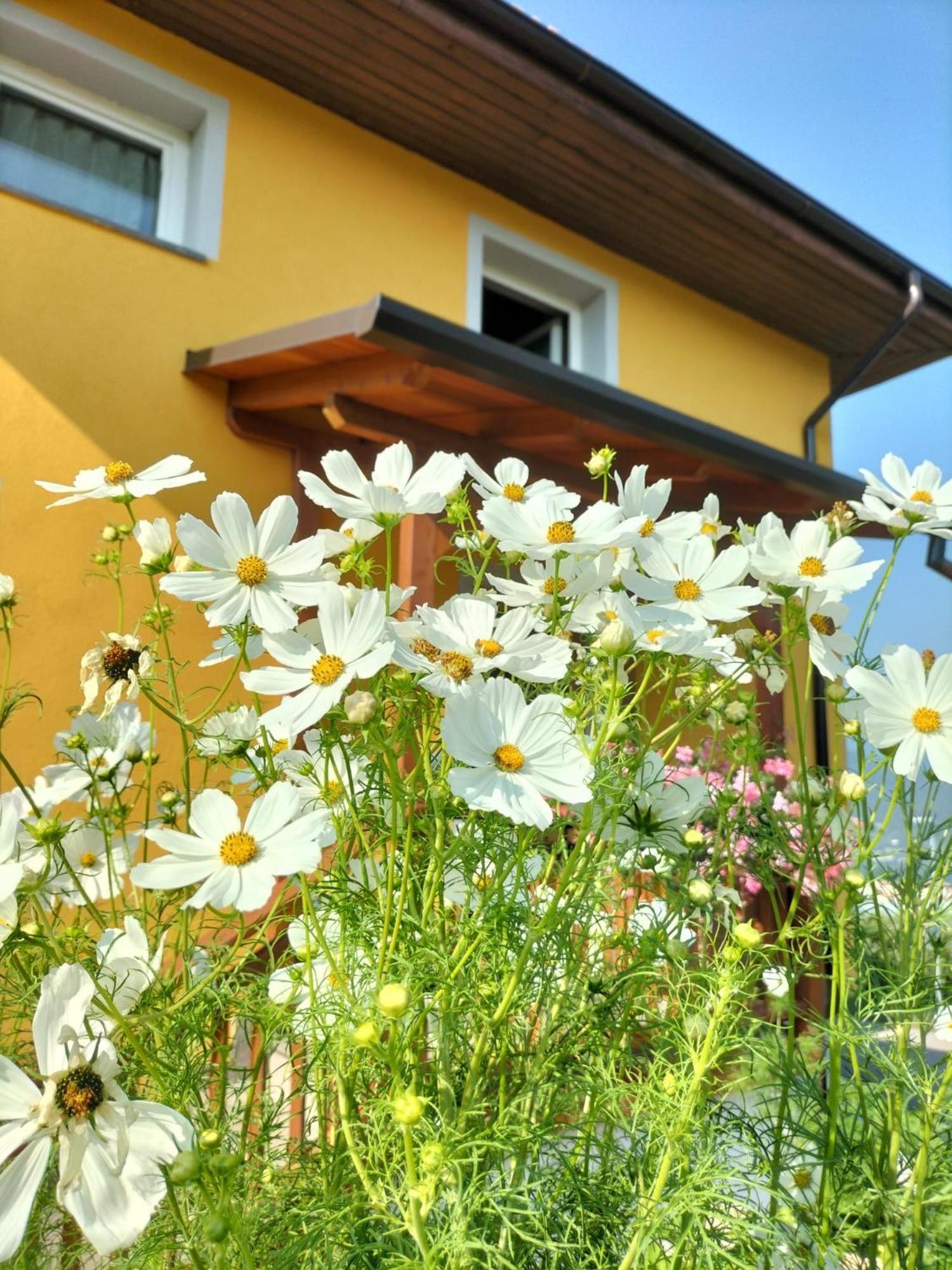 I Girasoli Sanzeno Exterior photo